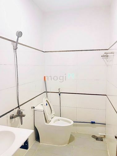 4191829 ảnh đại diện 2