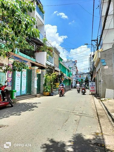 4191129 ảnh đại diện 1