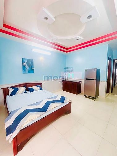 4191829 ảnh đại diện 1