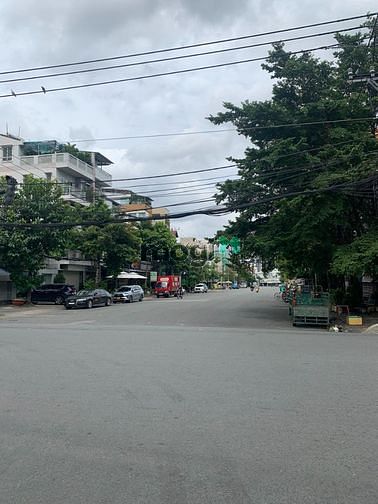 4192308 ảnh đại diện 1