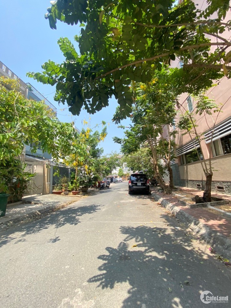 4193437 ảnh đại diện 1