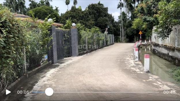 4193304 ảnh đại diện 1