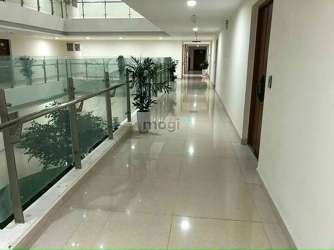 4192444 ảnh đại diện 1