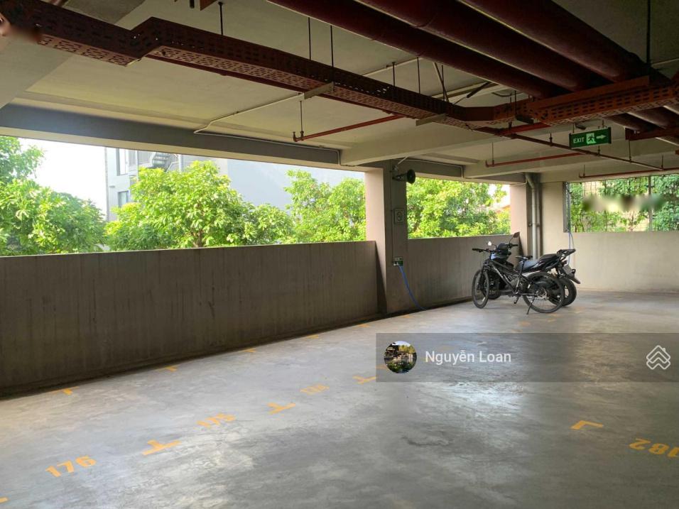 4193251 ảnh đại diện 1