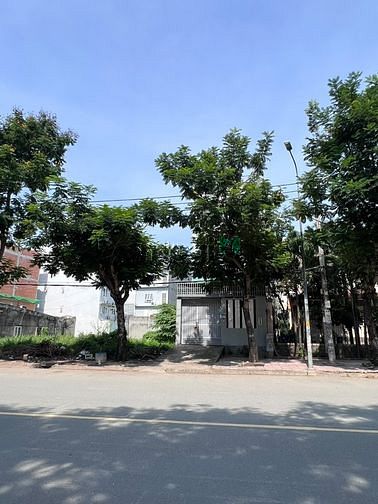 4191808 ảnh đại diện 1
