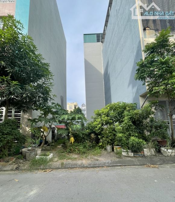 4193101 ảnh đại diện 1