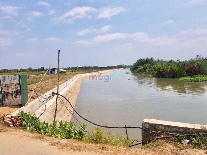 4191809 ảnh đại diện 1