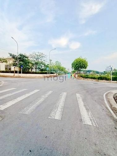 4191652 ảnh đại diện 1