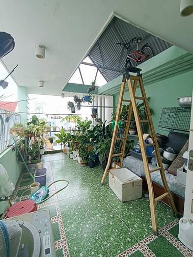 4191118 ảnh đại diện 1
