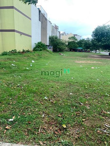 4191847 ảnh đại diện 1
