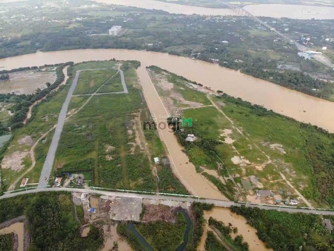 4191809 ảnh đại diện 1