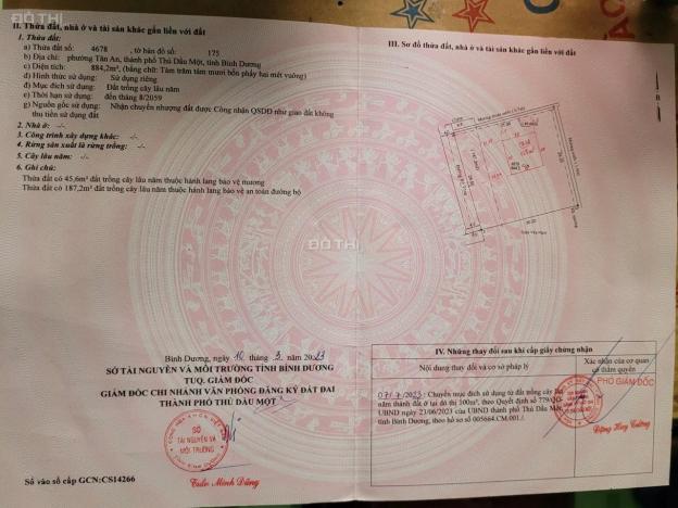 4193304 ảnh đại diện 2