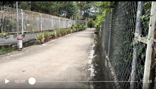 4193304 ảnh đại diện 1