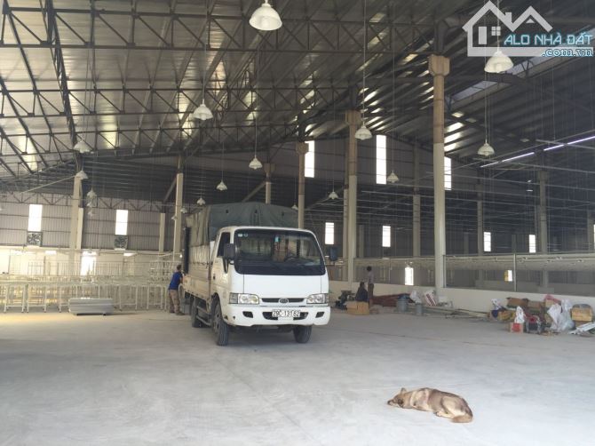 4193253 ảnh đại diện 1