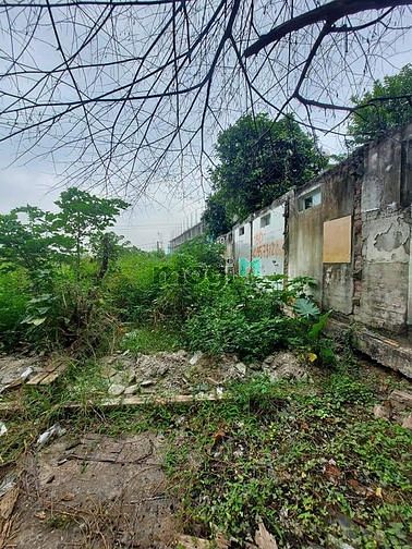 4191652 ảnh đại diện 1