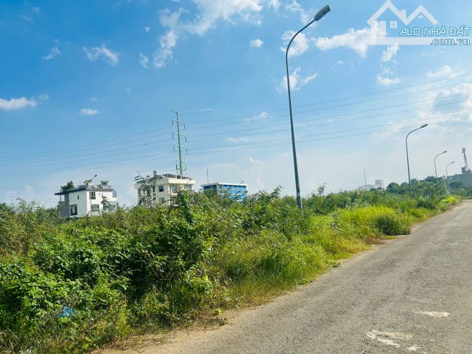 4197393 ảnh đại diện 2