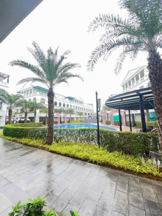 4197674 ảnh đại diện 1