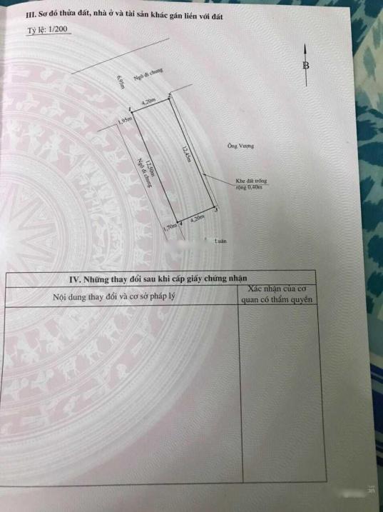4197840 ảnh đại diện 2