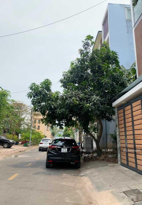 4196575 ảnh đại diện 1