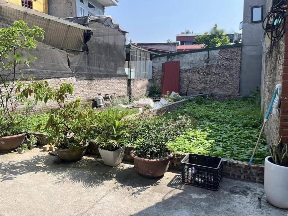 4196754 ảnh đại diện 2