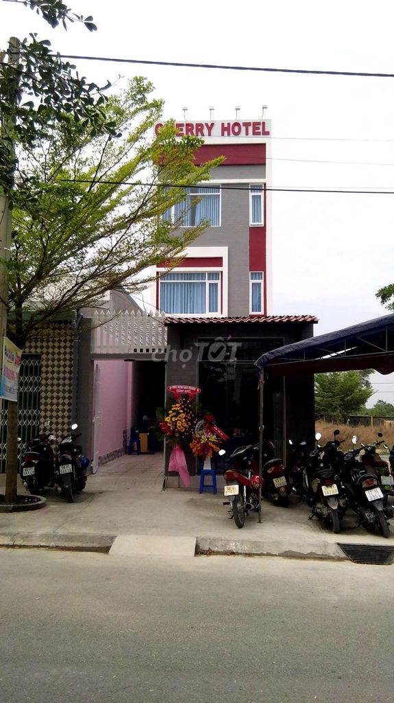 4199179 ảnh đại diện 2