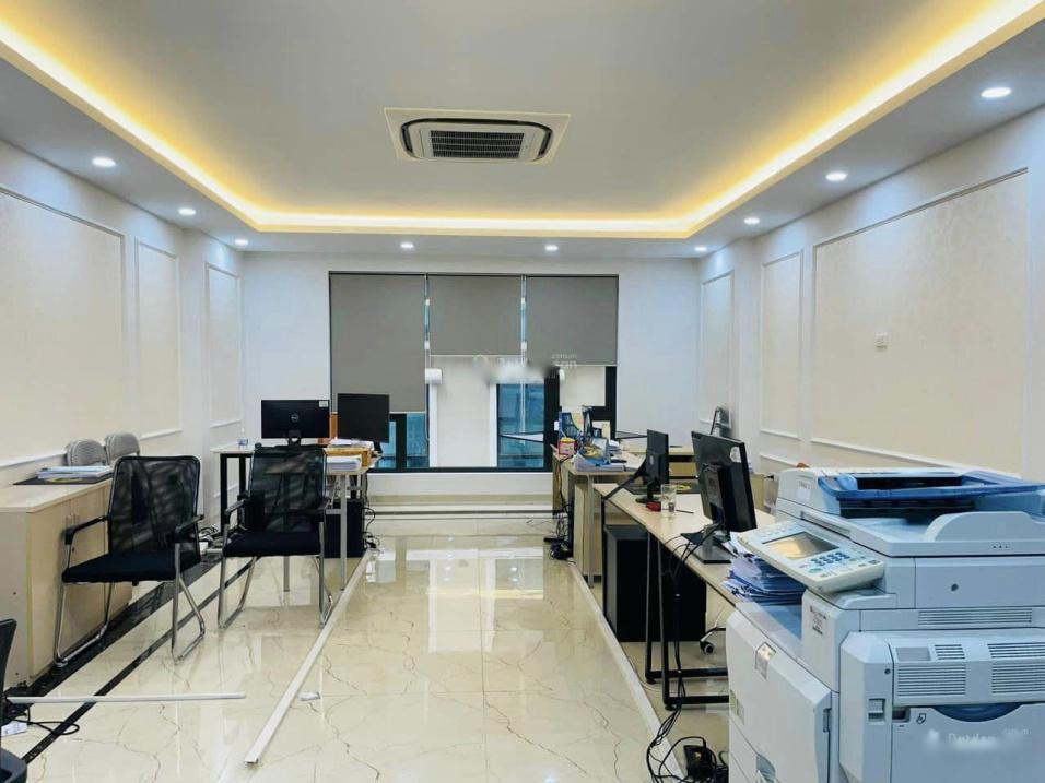 4196662 ảnh đại diện 1