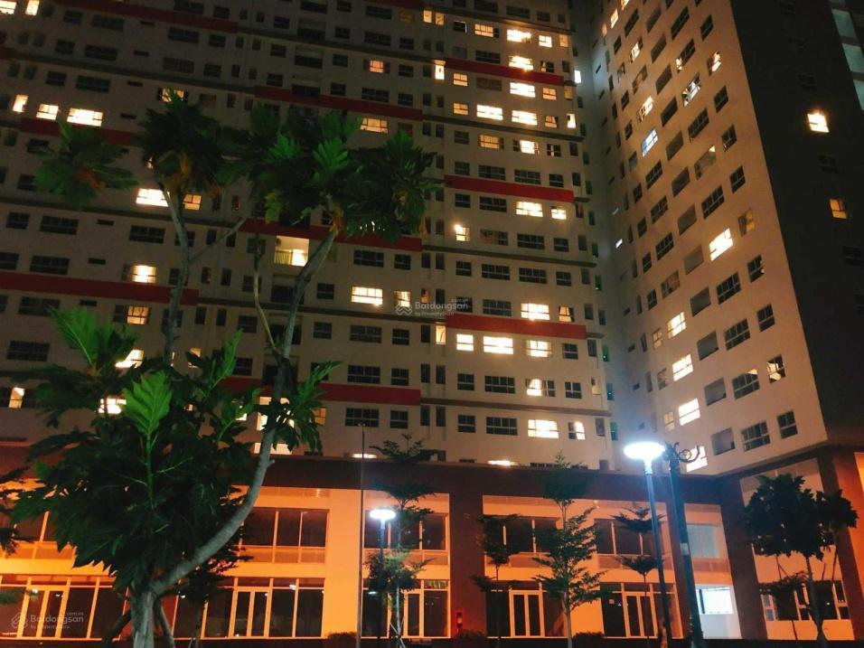 4197975 ảnh đại diện 1