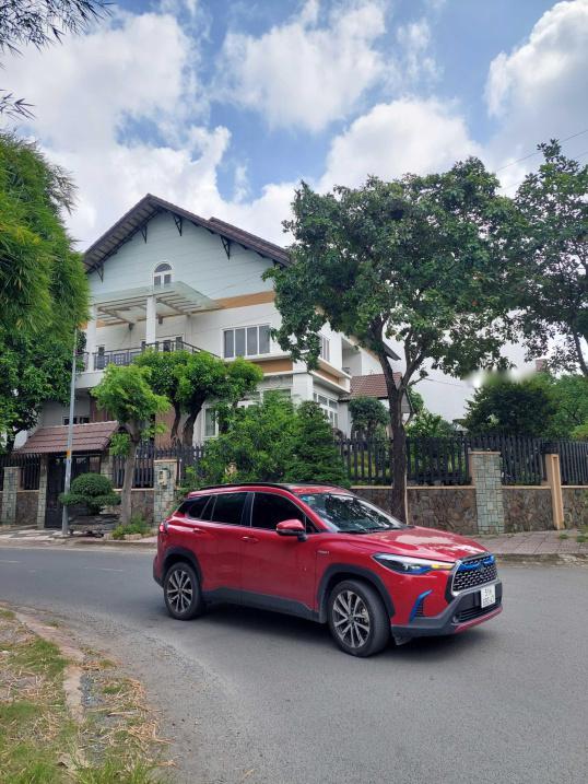 4196491 ảnh đại diện 1