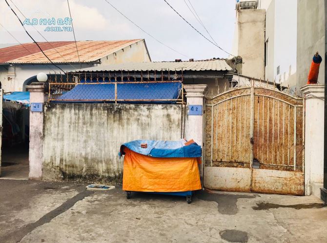 4197041 ảnh đại diện 1