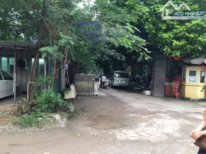 4198303 ảnh đại diện 2