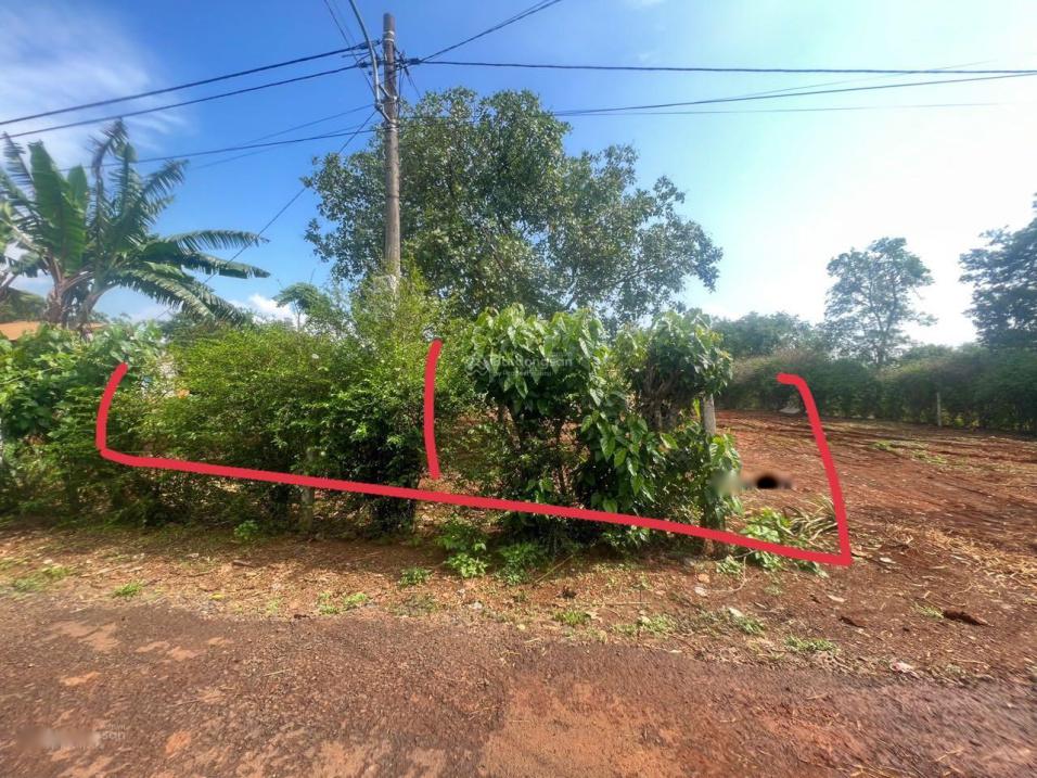 4198194 ảnh đại diện 1