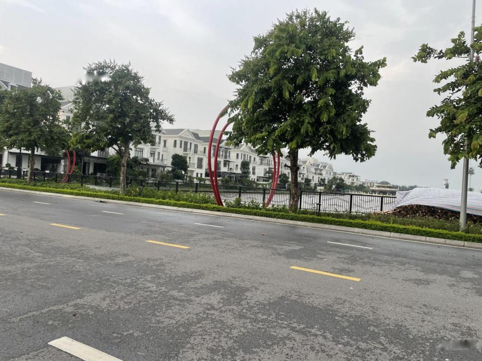 4197672 ảnh đại diện 1
