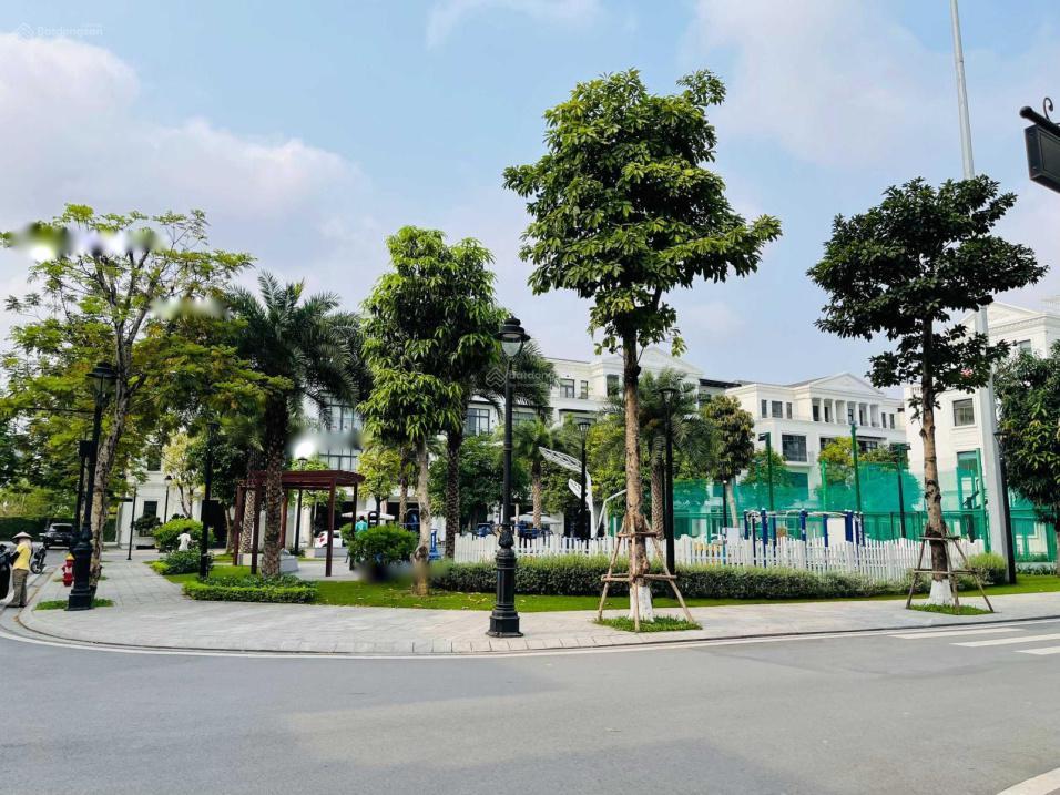 4197694 ảnh đại diện 2