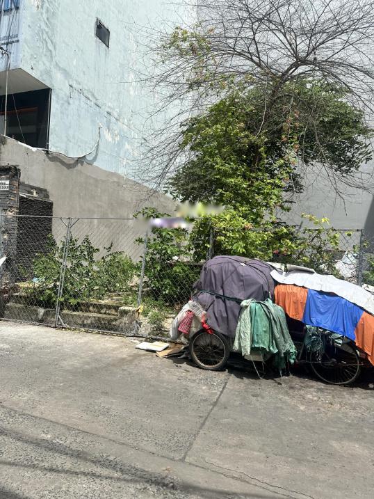 4195852 ảnh đại diện 2