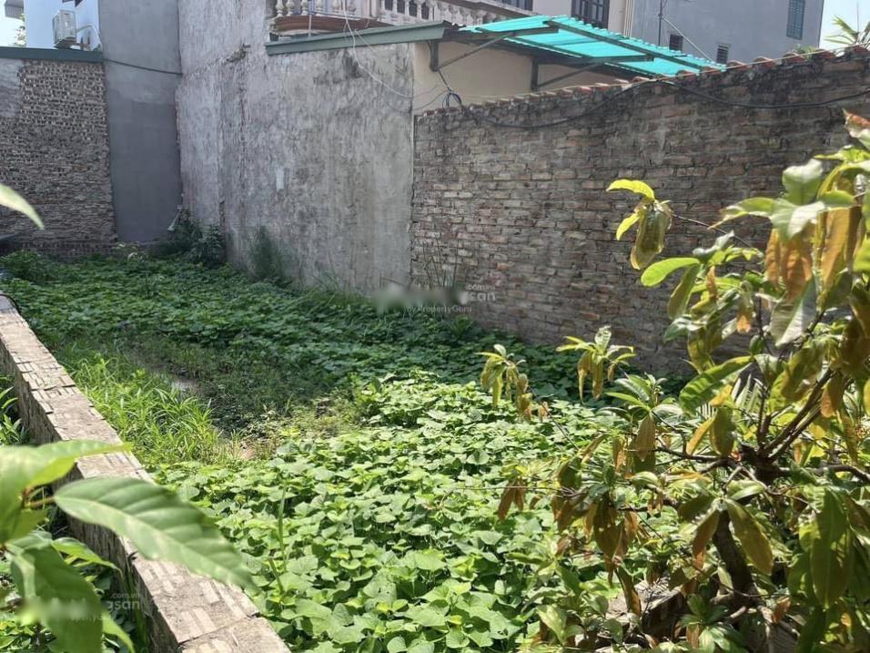 4196754 ảnh đại diện 1