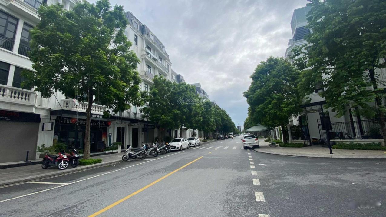 4198107 ảnh đại diện 2
