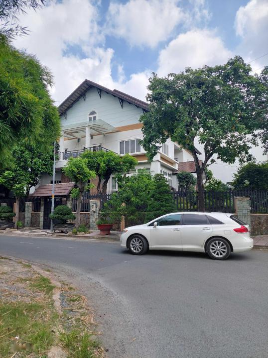 4196491 ảnh đại diện 1