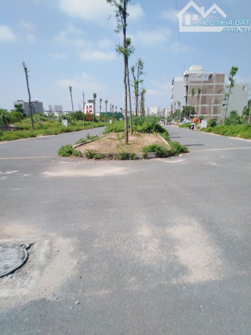 4198916 ảnh đại diện 1