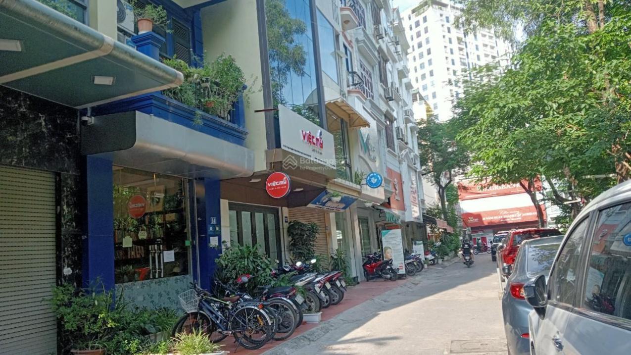 4196663 ảnh đại diện 1