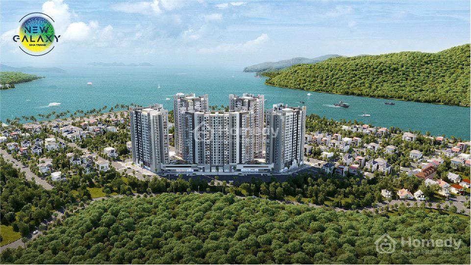 4194969 ảnh đại diện 1