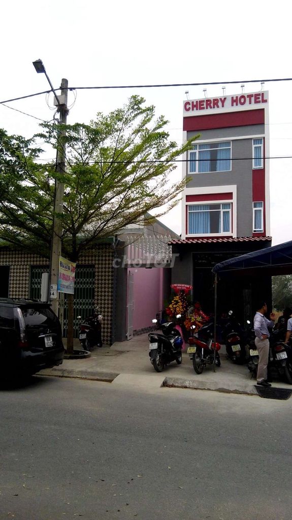 4199179 ảnh đại diện 1