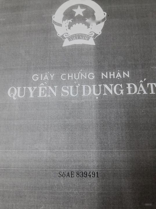 4196892 ảnh đại diện 1