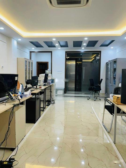 4196662 ảnh đại diện 1
