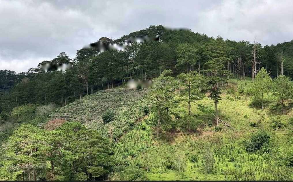 4196691 ảnh đại diện 1