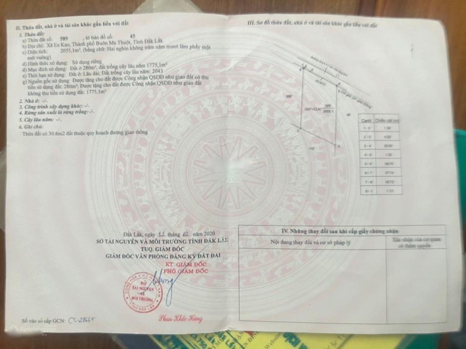 4198194 ảnh đại diện 1