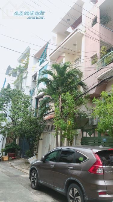 4198531 ảnh đại diện 1