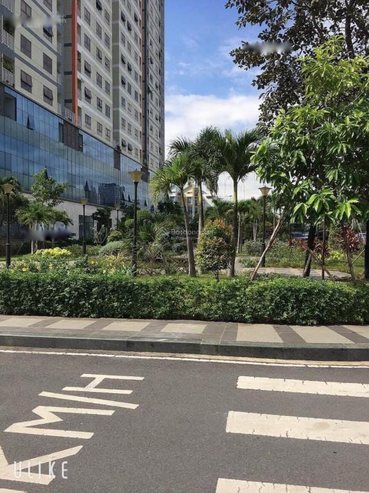 4195547 ảnh đại diện 1