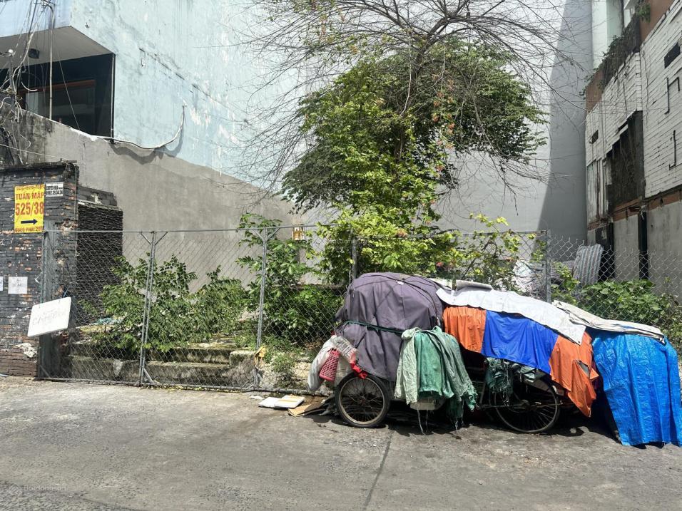 4195852 ảnh đại diện 1