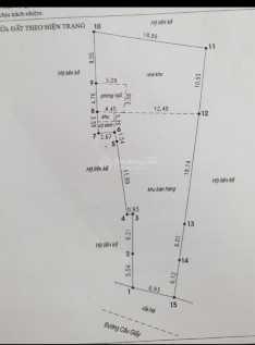 4197793 ảnh đại diện 2