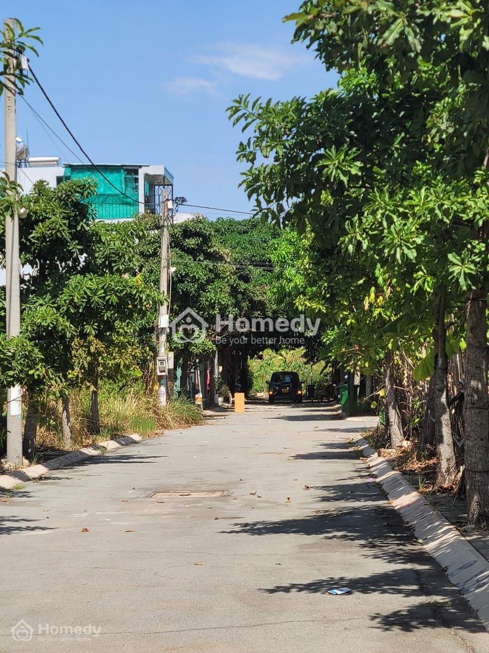 4203045 ảnh đại diện 2